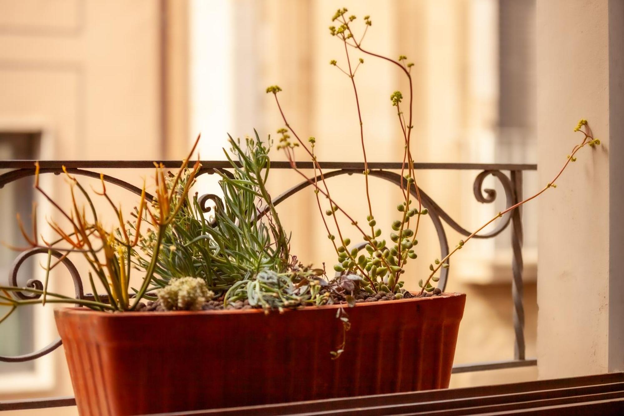 Apartamento Nou3 Girona